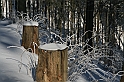 IMG_1782