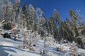 IMG_1783