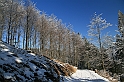 IMG_1785
