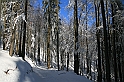 IMG_1787