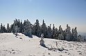 IMG_1797