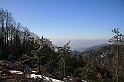 IMG_1841
