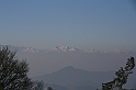 IMG_1842