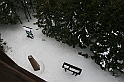 IMG_1882