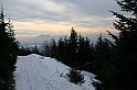 IMG_1893