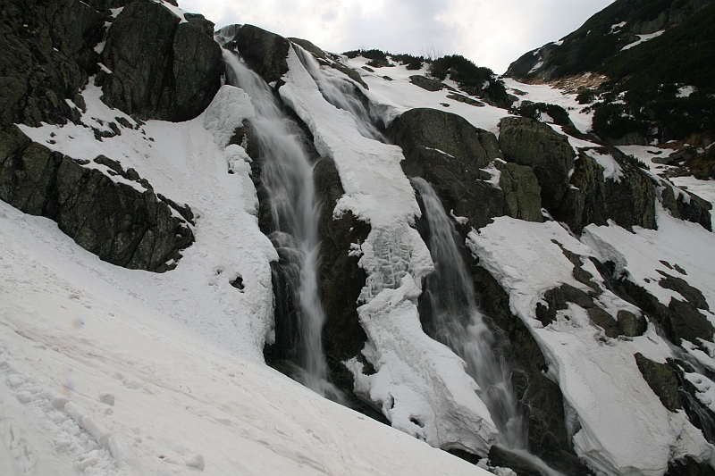 44