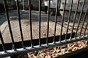 IMG_2839