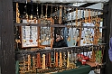 IMG_2996