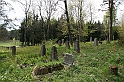 IMG_3078