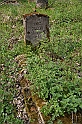 IMG_3079
