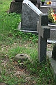 IMG_3185
