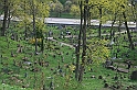 IMG_3189