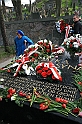 IMG_3219
