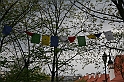 IMG_3371