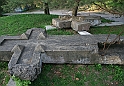 IMG_3446
