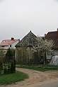 IMG_3533