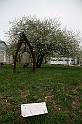 IMG_3545
