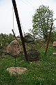 IMG_3552