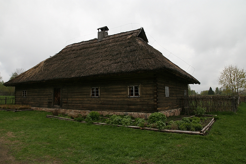 IMG_3906