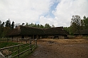 IMG_3911