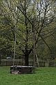 IMG_3923