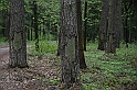 IMG_3934