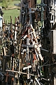 IMG_4489