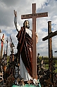 IMG_4491
