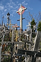 IMG_4505