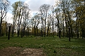 IMG_4389