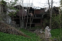 IMG_4558