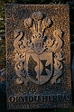 IMG_4589