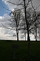 IMG_4353