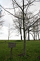 IMG_4356