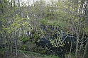 IMG_4711
