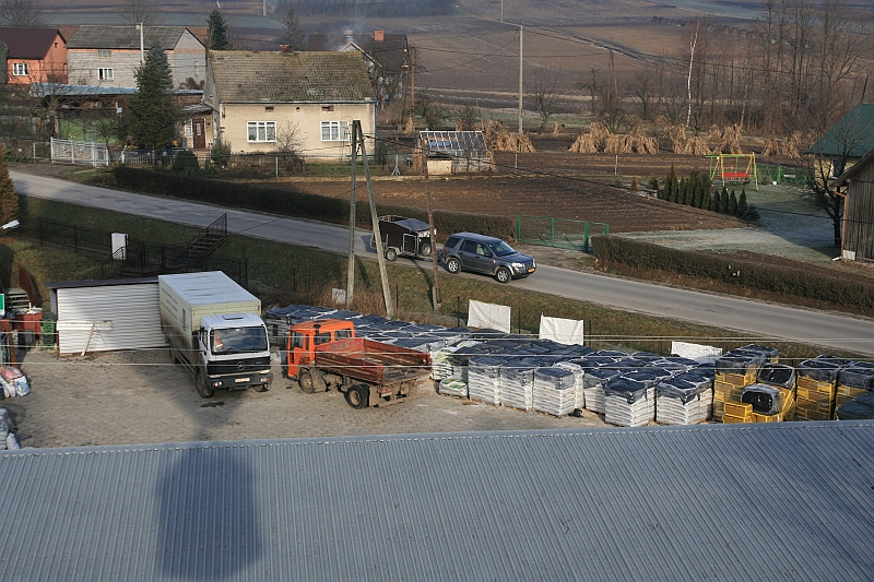 IMG_6703