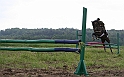 IMG_8537
