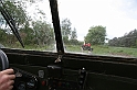 IMG_8618