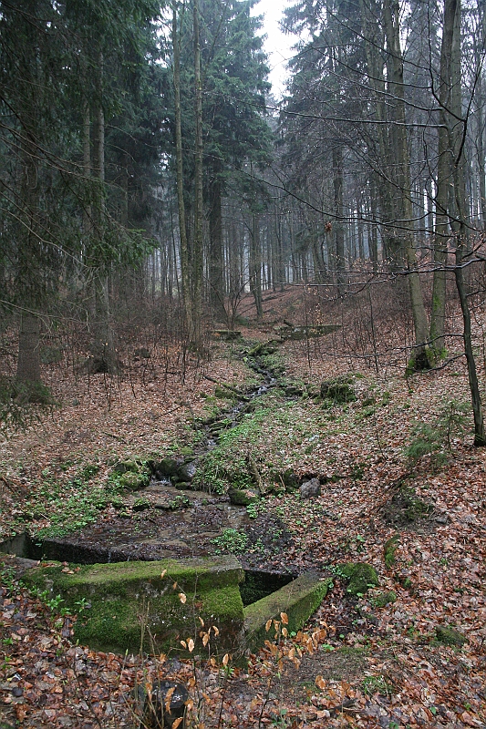 IMG_1077