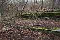 IMG_0883