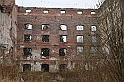IMG_0972