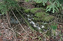 IMG_1057