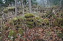 IMG_1065