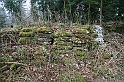 IMG_1066