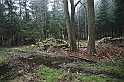 IMG_1073