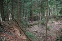 IMG_1086