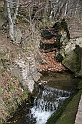 IMG_1113