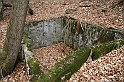 IMG_1121