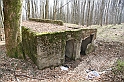 IMG_1132