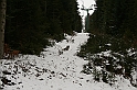 Turbacz 22.03.08 005